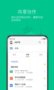 wps office v11政府pro专用版0