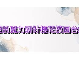 爱的魔力别针樱花校园合集