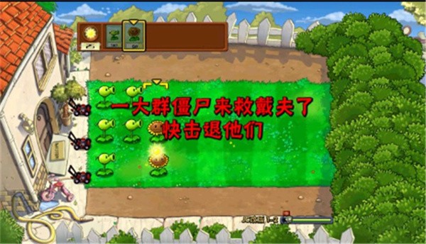 植物大战僵尸T版支线免费版1