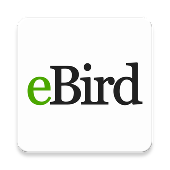 息税前利润eBird