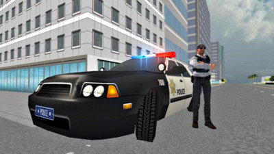 美国警车模拟驾驶2