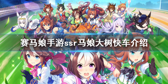 赛马娘手游大树快车怎么样
