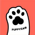 puppycam
