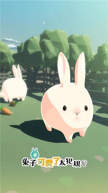 兔子太可爱了2