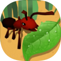 蚂蚁进化3D大树迷宫