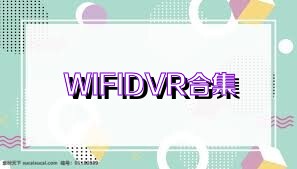 WIFIDVR合集