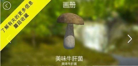 蘑菇猎人模拟器2