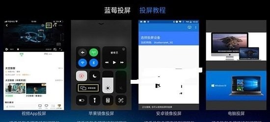 蓝莓投屏app2