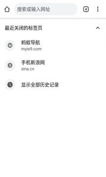 Chrome蚂蚁安卓版2
