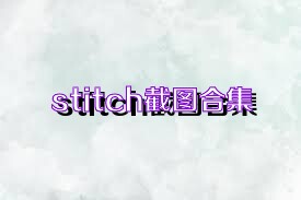 stitch截图合集