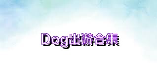 Dog出游合集