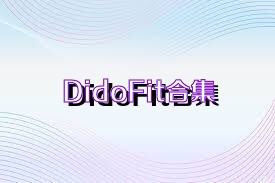 DidoFit合集