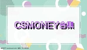 CSMONEY合集