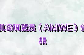 机场调度员（AMWE）合集