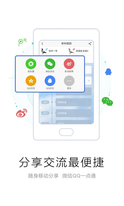 爱鸽者app1