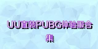 UU直装PUBG体验服合集