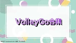 VolleyGo合集