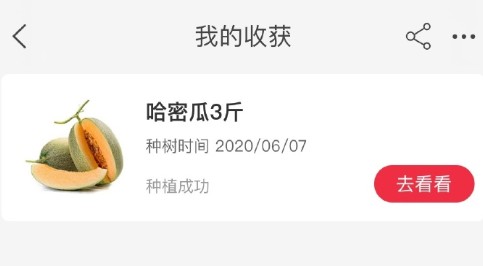淘宝芭芭农场世界农场之旅怎么玩