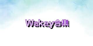 Wakey合集