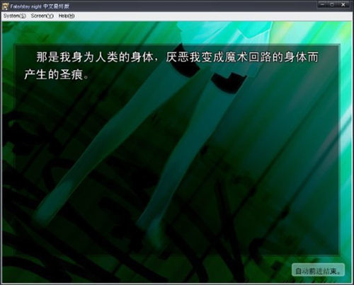 fate命运之夜重置版2