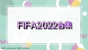 FIFA2022合集