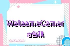 WataameCamera合集