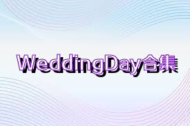 WeddingDay合集