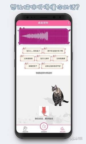 激萌猫咪桌面宠物app2