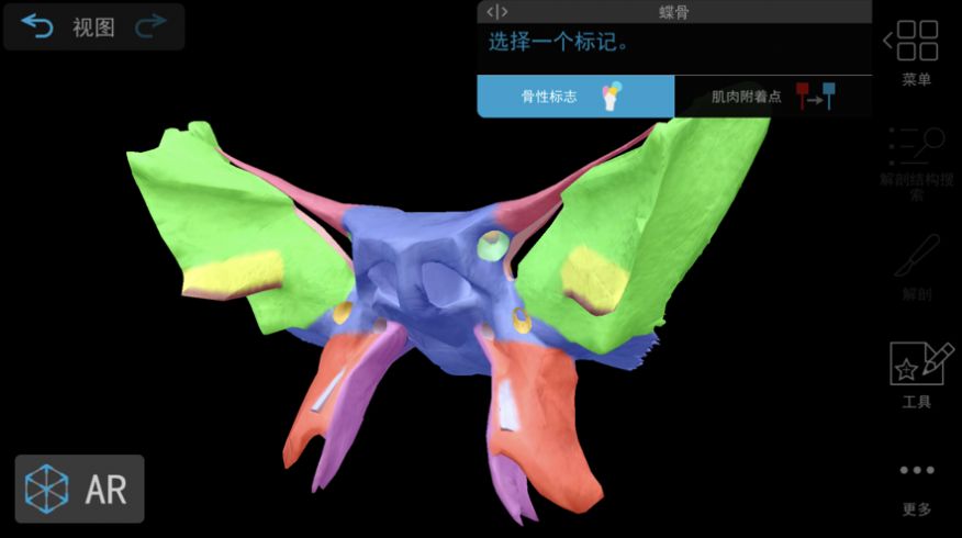 肌肉与运动机能学安卓破解版1