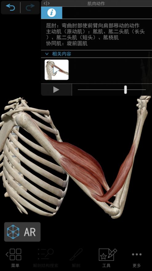 肌肉与运动机能学安卓破解版2