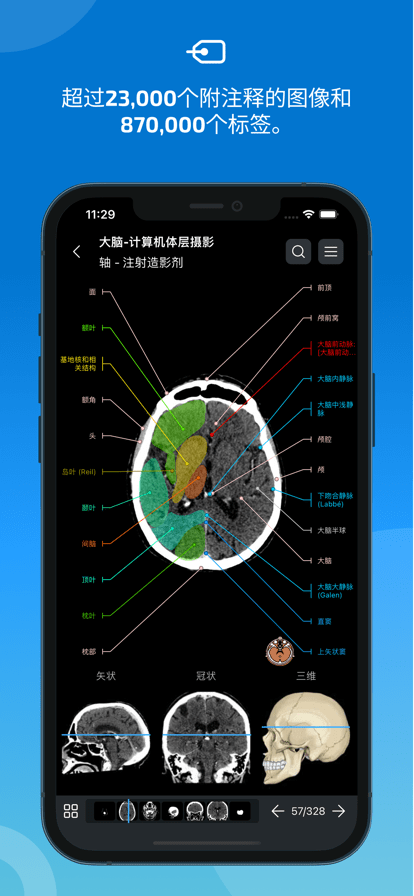 e-anatomy中文破解版0