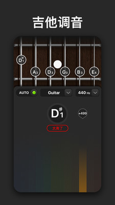 TuneLabs吉他调音器1