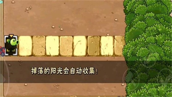 植物大战僵尸H版手机版1