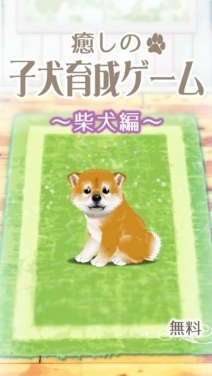 治愈系小狗养成游戏柴犬篇官方版1