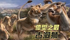 一代天骄合集