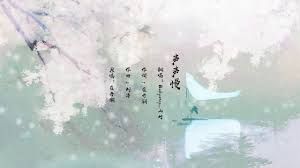 寻寻觅觅合集