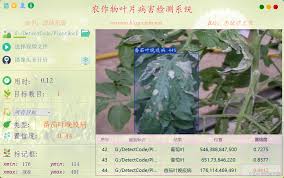 叶子点读合集