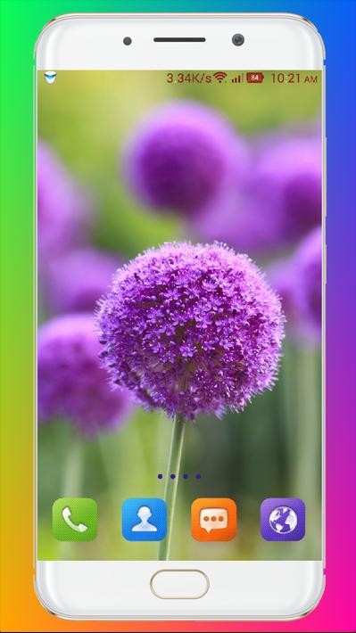 紫花壁纸Purple Flower Wallpaper10