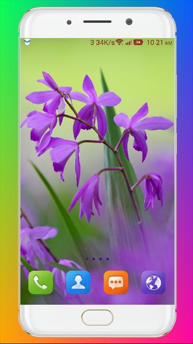 紫花壁纸Purple Flower Wallpaper13