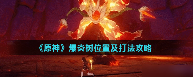 原神爆炎树位置及打法攻略一览