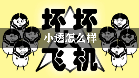 坏坏的飞机小透怎么样