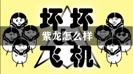 坏坏的飞机紫龙怎么样