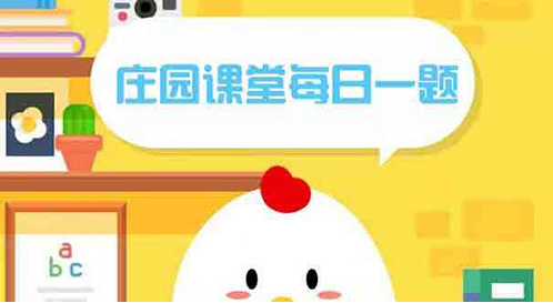 2020年12月15日小鸡正确的答案