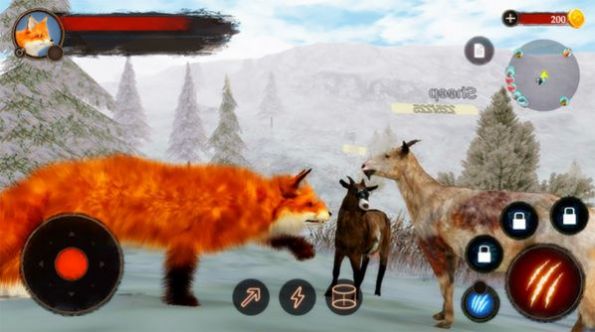野生狐狸模拟器3D3