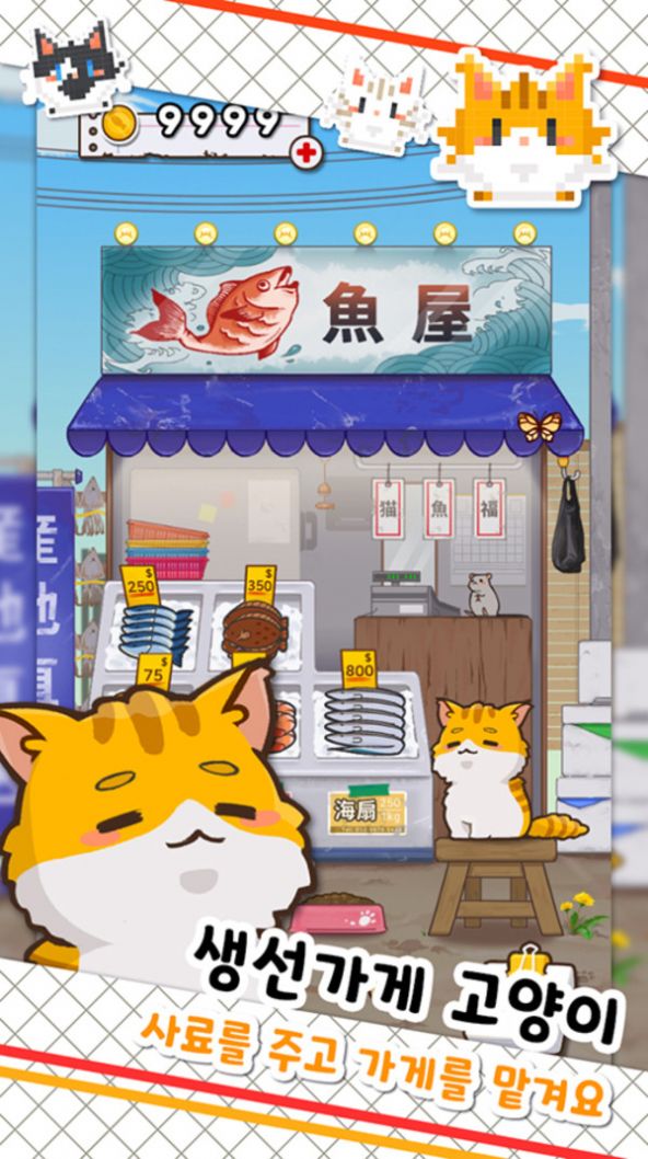 鱼店猫老板1