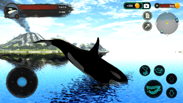 The Killer Whale虎鲸0