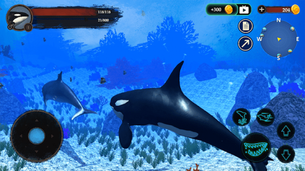 The Killer Whale虎鲸2