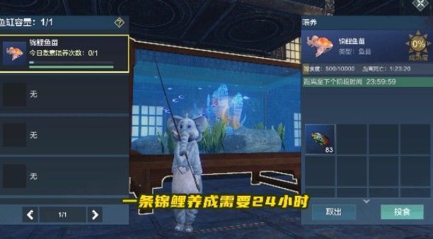 妄想山海锦鲤鱼苗位置在哪